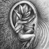 III: Doom In Bloom/Allies