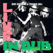 When I Fall In Love by Dub Spencer & Trance Hill