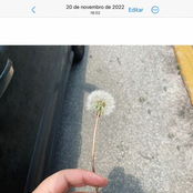 Tudo Sobre Lexi (2002)