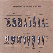 Southern Bullet by 3 Stages Of Pain