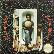 Pérola Negra