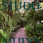 Studo Mudo