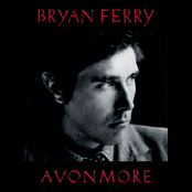 Driving Me Wild by Bryan Ferry