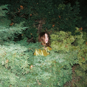 What I Never Told You