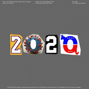 The 2020 Song (Never Wanna See You Again)