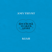 Love Will Tear Us Apart