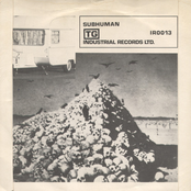 Subhuman / Something Came Over Me