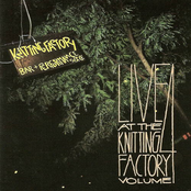 Live At The Knitting Factory Volume 4