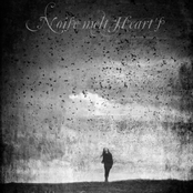 Шум небесных птиц