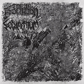 Total Isolation // Sedimentum