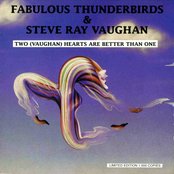 Fabulous Thunderbirds & Srv