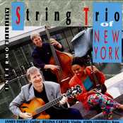Seven Vice by String Trio Of New York
