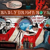 Born Again by Badly Drawn Boy