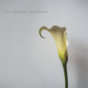 The Brother Brothers: Calla Lily