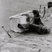 Harm Assist / Doubt Split