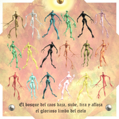 El bosque del caos baja sube tira y afloja el gloriosx limbo del cielo