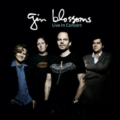 Long Time Gone by Gin Blossoms