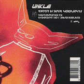 Rabbit in Your Headlights