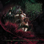 Transfixed Effervescent Human By Verdure Creatures