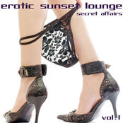 DJ Jerry: Erotic Sunset Lounge 1 (STR11288) WEB