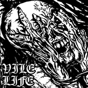 Vile Life