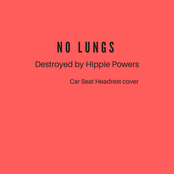 Destroyed by Hippie Powers