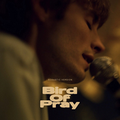 Bird of Pray (Acoustic)