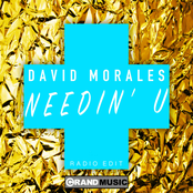 David Morales: Needin' U (Radio Edit)