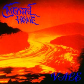 Southern Calm Waters by Mental Home