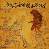 Disappearing Woman by Great Speckled Bird