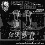 The Fivestarluxury - Chaos in musicae