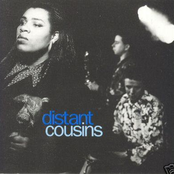 Boo Hoo Hoo by Distant Cousins