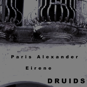 Druids