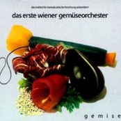Rezept by The Vegetable Orchestra