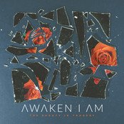 Awaken I Am: Indifference