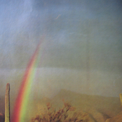 Back to Back to the Future The Ride