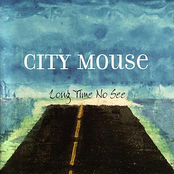 City Mouse: Long Time No See