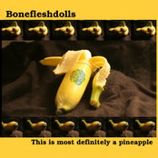 Most definitely a pineapple