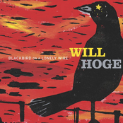 Will Hoge: Blackbird on a Lonely Wire