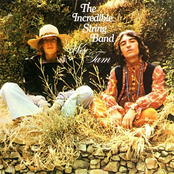 Job's Tears by The Incredible String Band