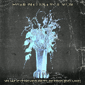 What If It Never Gets Better (Deluxe)