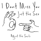 I Don't Miss You, Just the Sex