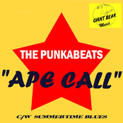 THE PUNKABEATS