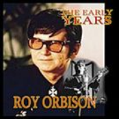 I Like Love by Roy Orbison