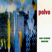 Vibracobra by Polvo