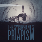 The Sycophant's Priapism