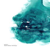 One For Sorrow, Two For Joy