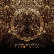 Amongst Mere Mortals