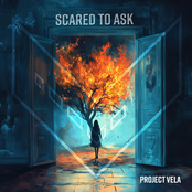 Scared to Ask