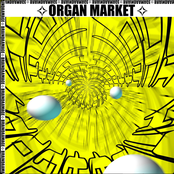Organ Market